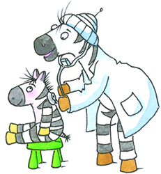 S569_Zebra_Arzt