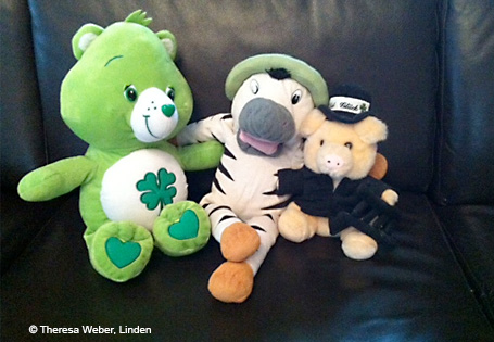 Zebra Franz im Neujahrsglück