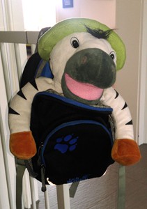 Franz im Rucksack