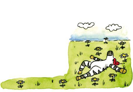 Franz Zebra reist nach Paraguay