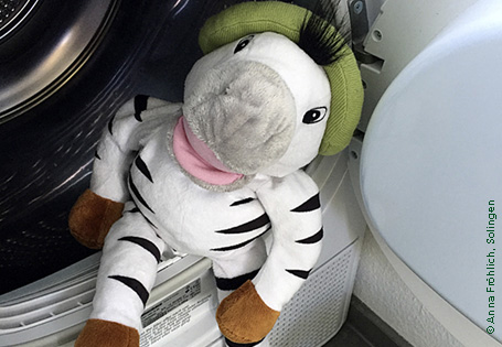 Praxistipp: Eine eigene kleine Schreibkartei von Franz Zebra anfertigen