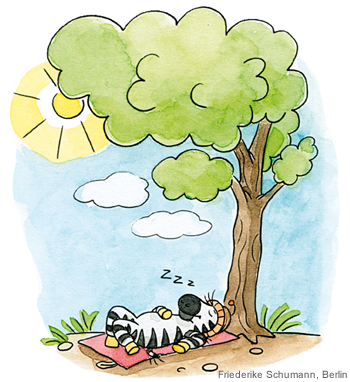 Achtsamkeitskartei Zebra Franz liegt unter einem Baum und meditiert