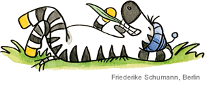 Achtsamkeitskartei Franz Zebra liegt auf der Wiese