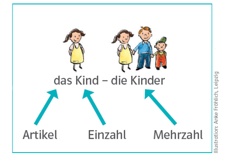 Die Nomenprobe kennenlernen und trainieren mit Zebra-Materialien