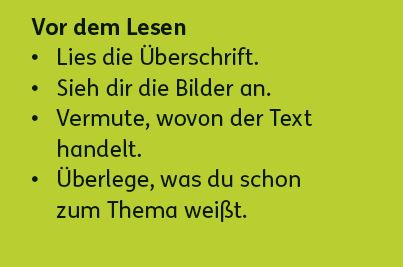 Zebra Lesebuch 3 Lesestreifen vor dem Lesen