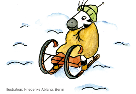 Leseverständnis mit den Zebra Lesebüchern Thema Winter