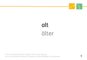 Fresch-Kartei zum Grundwortschatz, Wortart Adjektive, alt