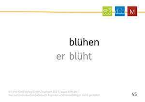 Fresch-Kartei zum Grundwortschatz, Wortart Verben, blühen