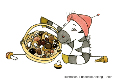 Waldpilze – das fächerübergreifende Zebra-Kartenspiel für die Herbstferien