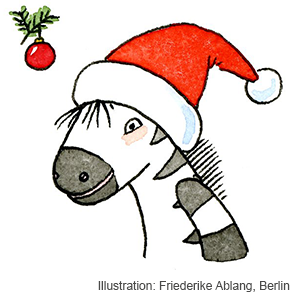 Lesetheater Weihnachten mit Zebra Franz