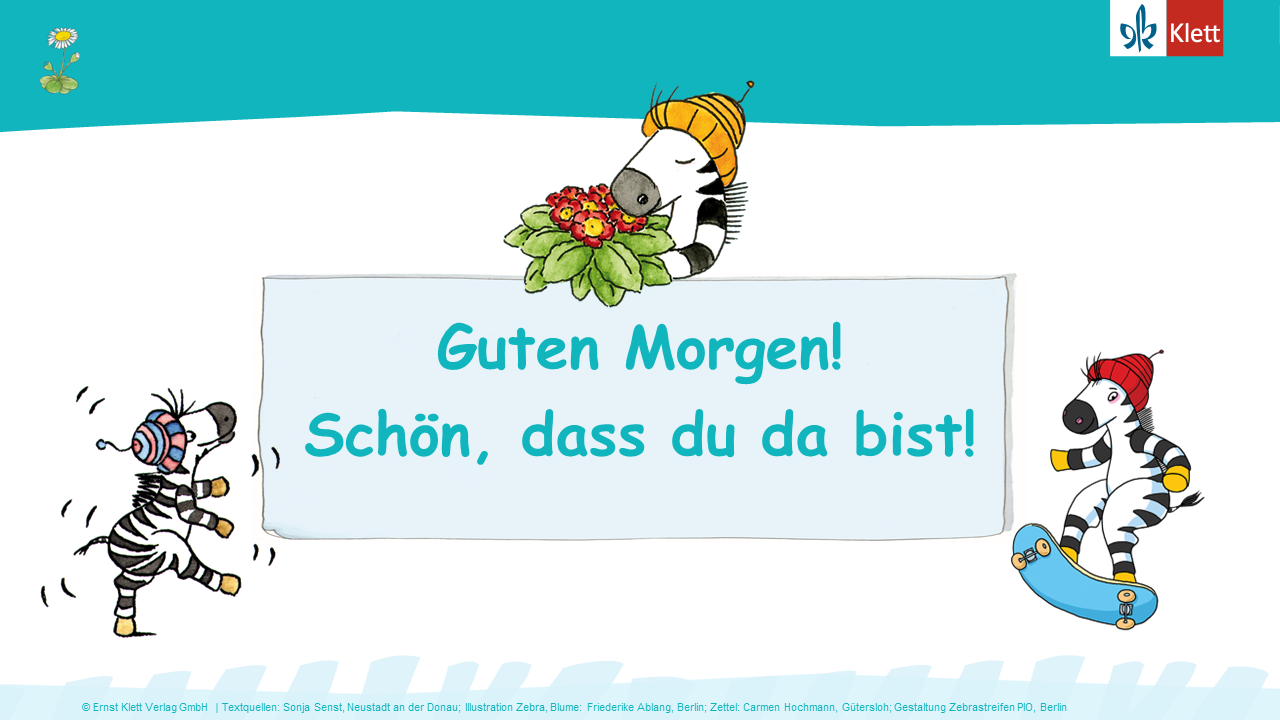 Zebrafanclub Folie 1 für den Tagesanfang