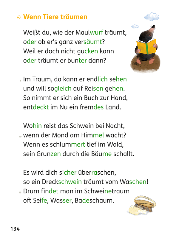 Zebra Lesebuch Klasse 2 – Seite 134
