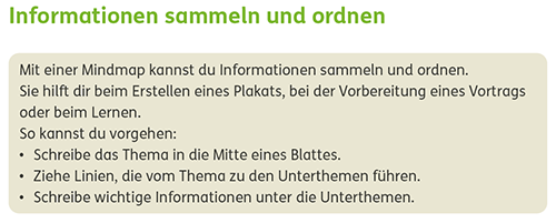 Zebra Arbeitsheft Lesen/Schreiben Klasse 3: Merkkasten
