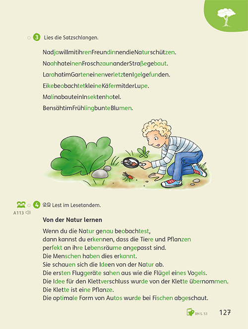 Lesebuch Klasse 3: Lesetrainingseite