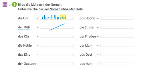 Wörter ohne Plural, Zebra Arbeitsheft Sprache 3, Seite 42 Übung 1