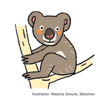 Leseempfehlung Konrad – ein Koala mit Karacho von Smilla Blau, dtv