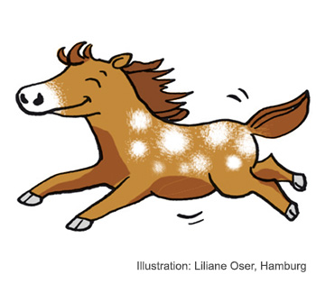 Leseempfehlung Ronny das Pony und Gerd das Pferd von Kai Lüftner, Coppenrath Verlag