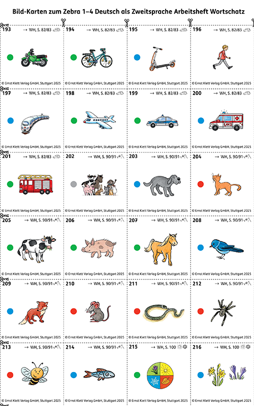 Zebra DaZ Arbeitsheft Wortschatz Bild-Karten Schülermaterial, S. 17