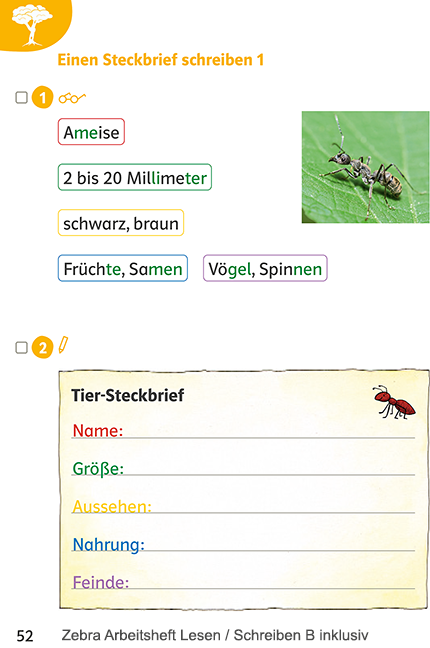 Zebra Arbeitsheft Lesen/Schreiben B inklusiv, Seite 52