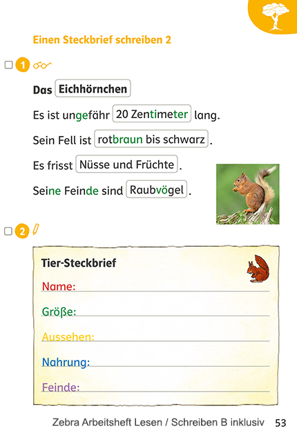 Zebra Arbeitsheft Lesen/Schreiben B inklusiv, Seite 53