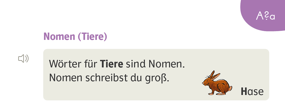 Merksatz Nomen im Zebra Arbeitsheft Sprache inklusiv
