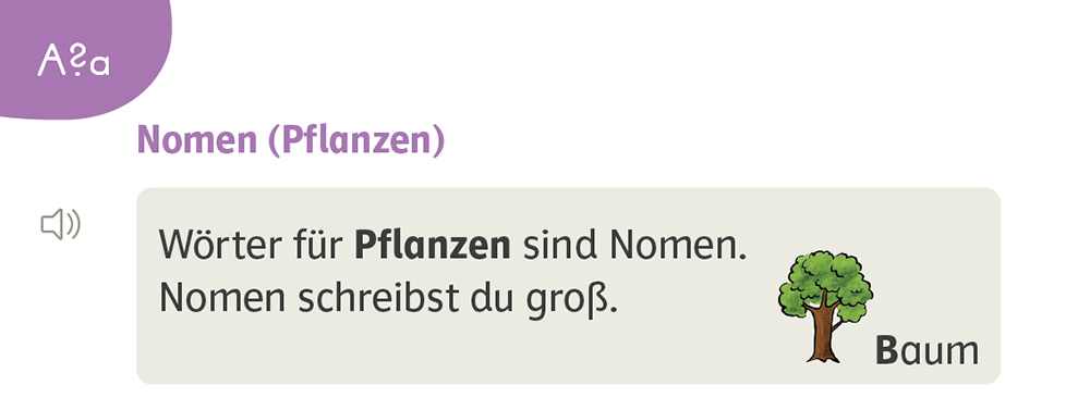Merksatz Nomen im Zebra Arbeitsheft Sprache inklusiv