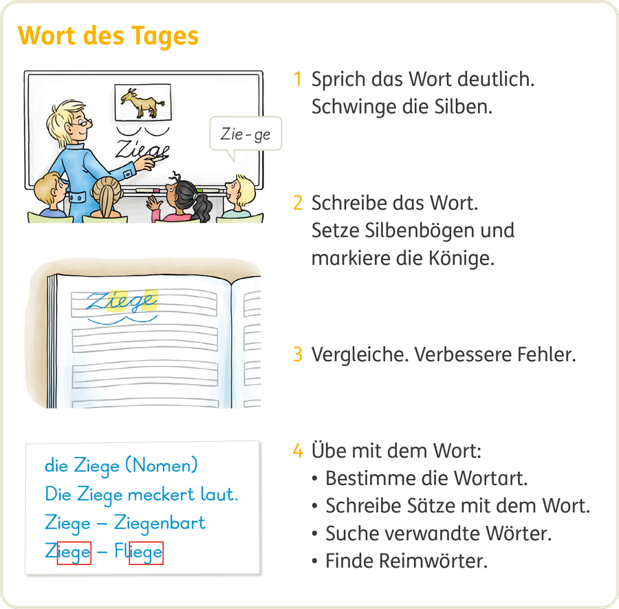 Zebrafanclub-Wort-des-Tages-AH-Sprache2 Einführung der Methode zum Wort des Tages aus AH Sprache 2, Seite 7